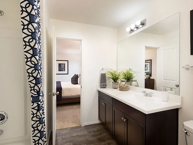 Modern Cabinets