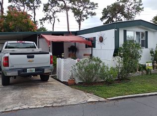 10373 Mercadier Ln, Riverview, FL 33578