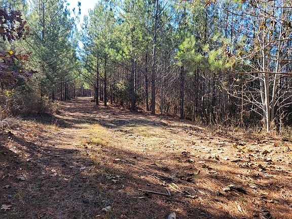 4th image of 67 Stoney Creek Ct Lot 30