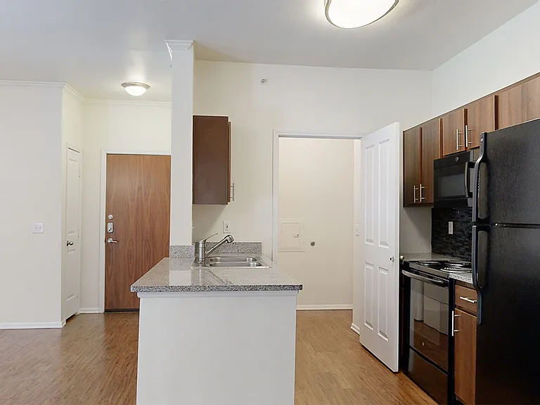 Apartment kitchen with granite countertops and wood-style flooring.