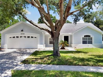 13148 LOBLOLLY LANE, Clermont, FL, 34711