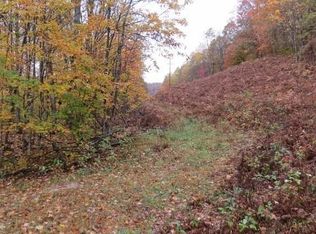 5631 Schuss Mountain Rd, Bellaire, MI 49615