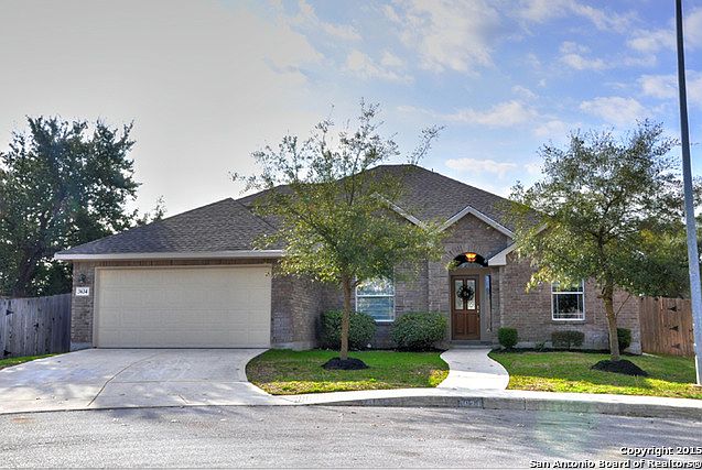 1st image of 3634 Globe Willow