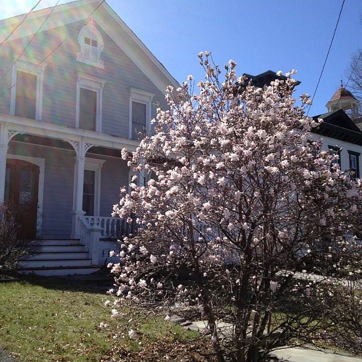1st image of 16 Chapman St