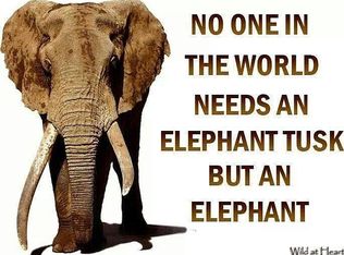 300 Cedar Ln, Largo, FL 33770