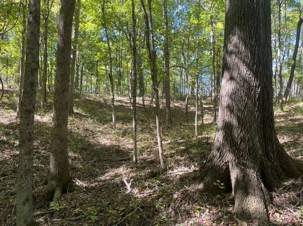 Highway 69 LOT WP002, Centertown, KY 42328