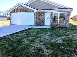 133 Braxton Bnd, Ledbetter, KY 42058