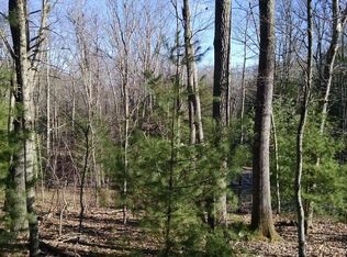 22 Shepherds Trl, Hot Springs, VA 24445