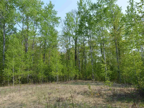 2220 NE Rusty Dr, Kalkaska, MI 49646