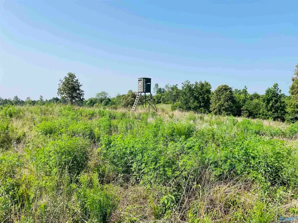 County Road 81, Flat Rock, AL 35966