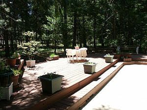 5th image of 33629 Three Oaks Dr