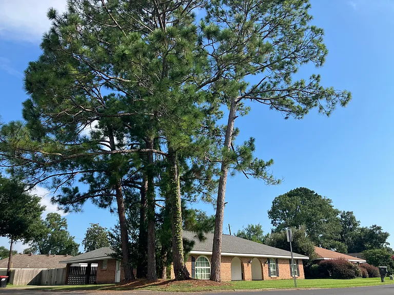 901 Dulles Dr — Photo 4