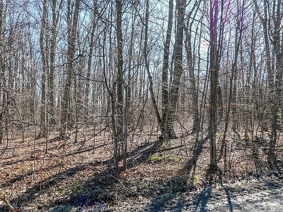 3rd image of Rockwood Rd