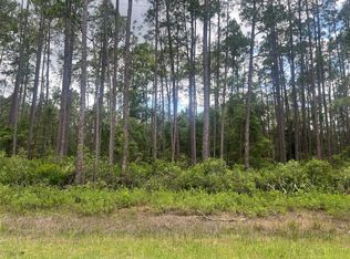 137 E Boundary Dr Lot 11, Georgetown, FL 32139