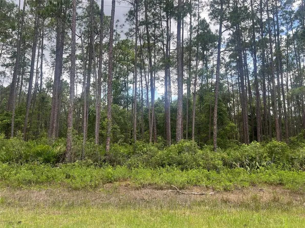 137 E Boundary Dr Lot 11, Georgetown, FL 32139