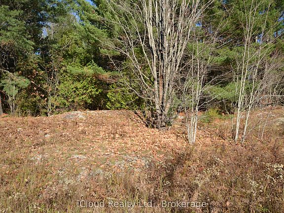 3rd image of 2 Parker Bay Rd