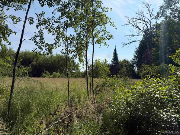 Tbd Gristmill Rd, Baraga, MI 49908