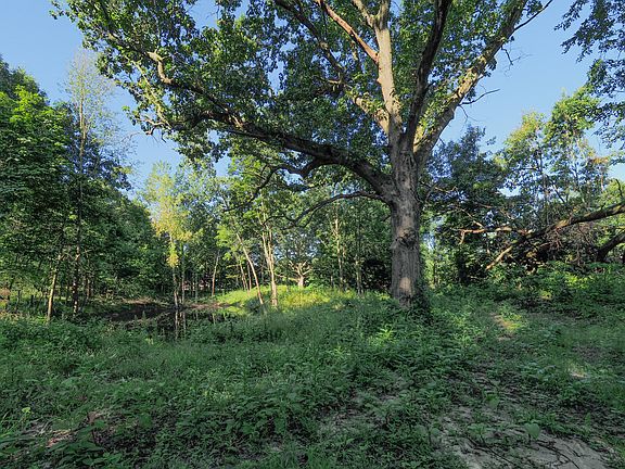 5th image of 69747 Rose Meadow Dr
