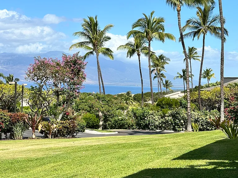 3950 Kalai Waa St #C101 — Photo 9