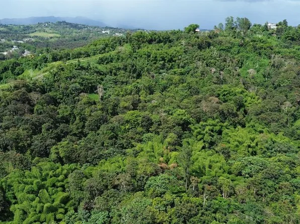 State Highway 183, San Lorenzo, PR 00754