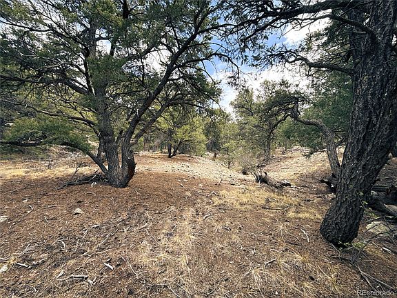 3rd image of 189 Cedar Ridge Road