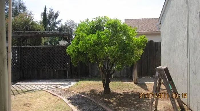 3 bed, 1600 sqft, $3,100 — Photo 2