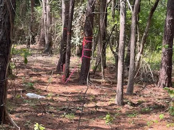 0 Lucys Ln, Mount Pleasant, SC 29466