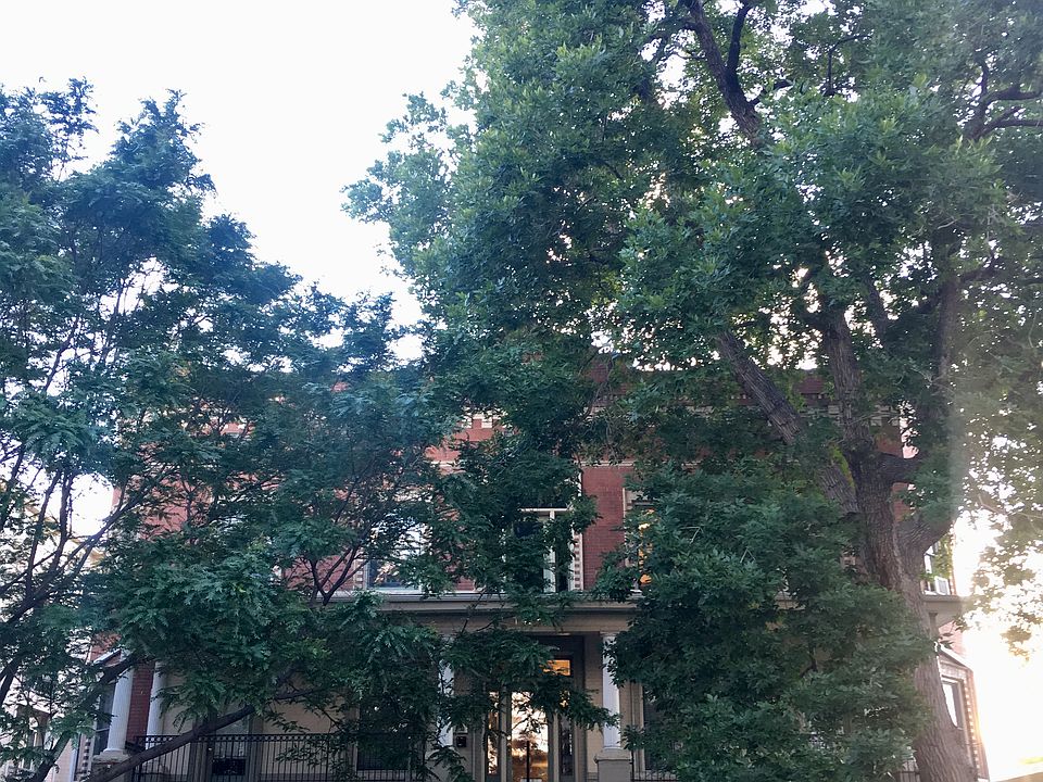 1st image of 1425 N Washington St APT 201