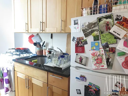 Rented by Alpha Properties NYC I LLC | media 45