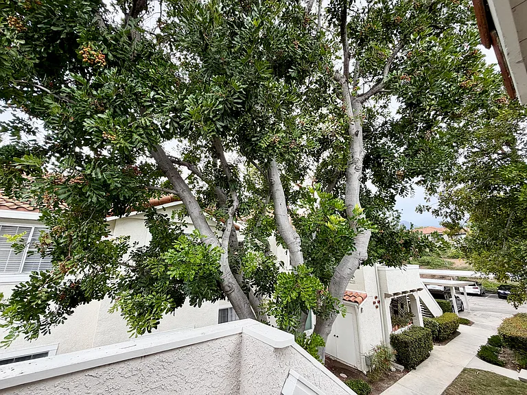 View from deck