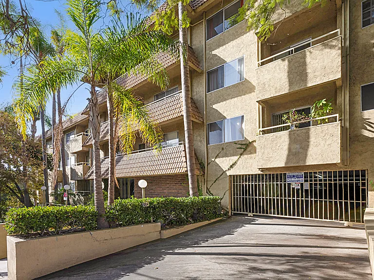 Ten Eleven Palm Avenue — Photo 8
