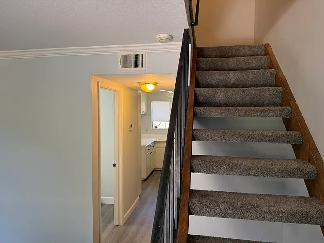 2015 Alta Loma St — Photo 8