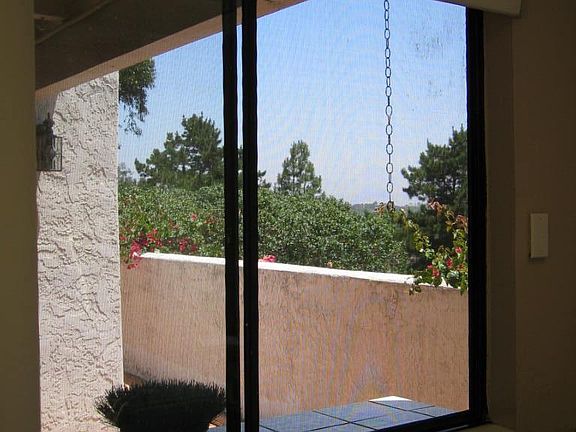 View from kitchen window