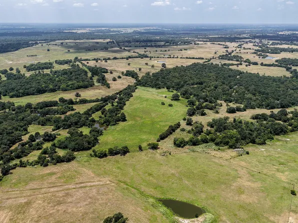 Petri Ln, Madisonville, TX 77864