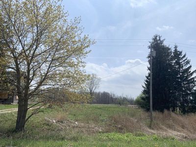 16433 Dudley Rd, Brown City, MI, 48416