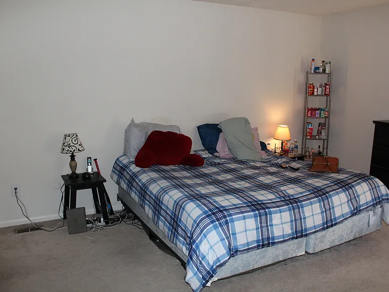 5389 Chatham Lake Dr — Photo 9