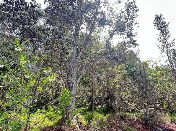 KOA LN, Ocean View, HI 96737