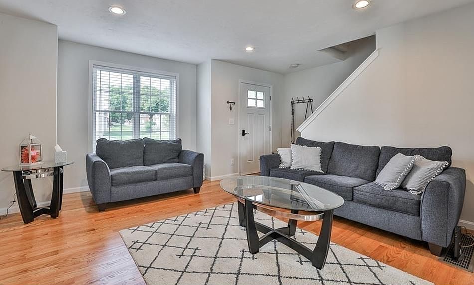Entrance and Living room