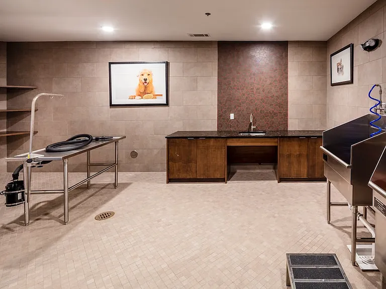 WAG pet spa with bathing and grooming equipment