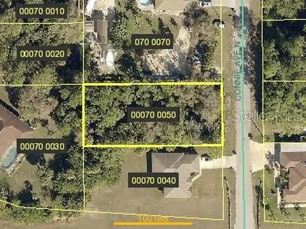 1303 Connie Ave N, Lehigh Acres, FL 33971