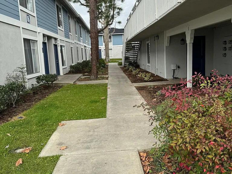 Victoria Pines — Photo 21