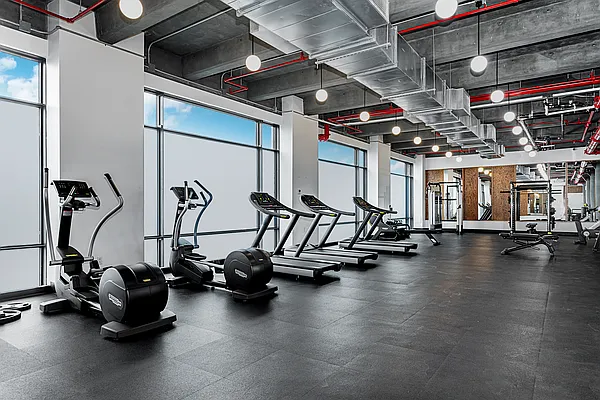 Sold by Living New York | media 10