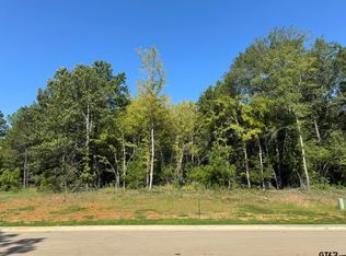 2449 Wilderness Cv, Tyler, TX 75703