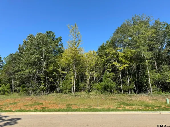 2449 Wilderness Cv, Tyler, TX 75703