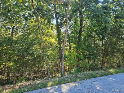 9528 Duffer Dr, Hillsboro, MO, 63050
