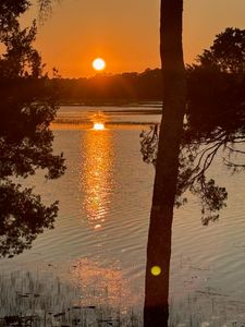 125 Jungle Rd, Edisto Island, SC, 29438