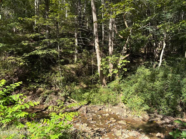 N Clearfork Road 2 Lot 1 #Sec, Sevierville, TN 37862