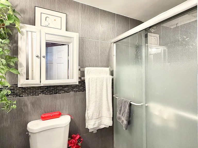 31 Goodwin Pl #1 — Photo 20