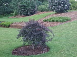 5225 Blue Ridge Ovlk, Dawsonville, GA 30534