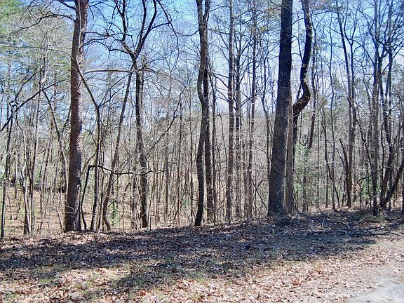 5th image of 93 Holly Berry Dr